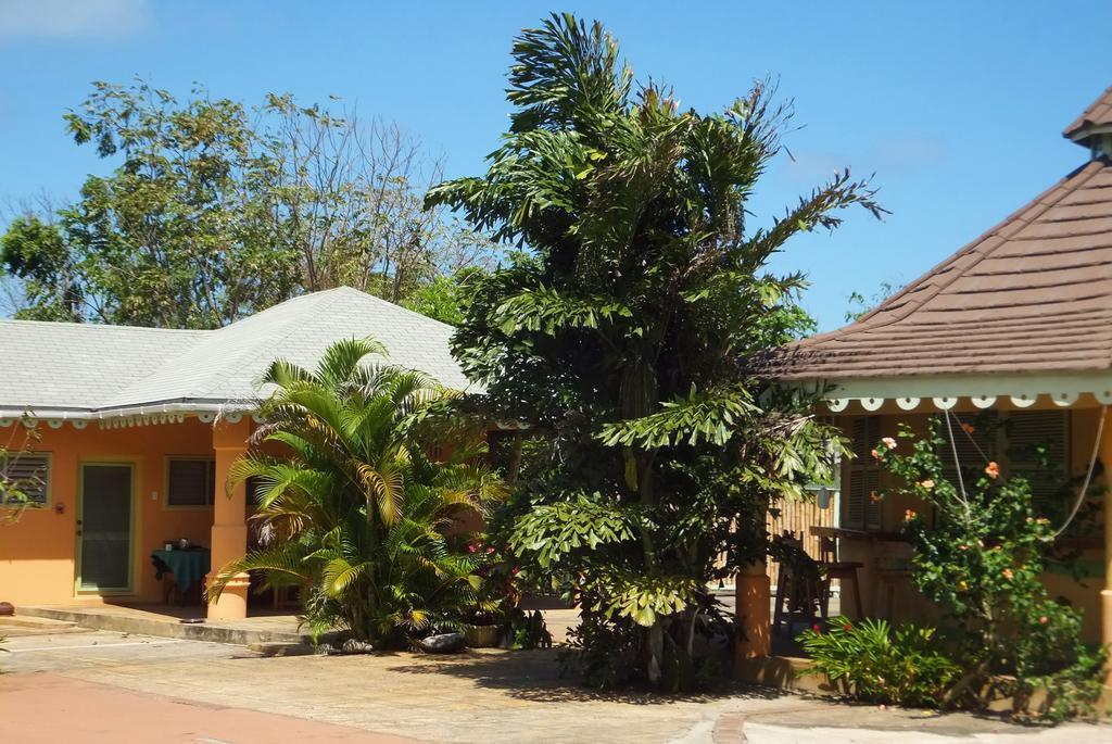 Pimento Lodge Resort Port Antonio Exterior foto