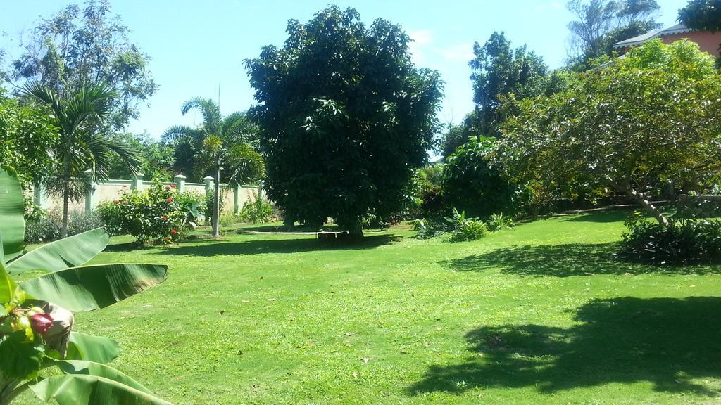 Pimento Lodge Resort Port Antonio Exterior foto